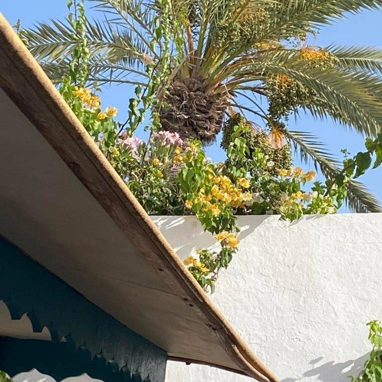 Djerbahouch Villa ไมดูน ภายนอก รูปภาพ